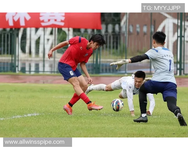 上海足球队杯赛征程回顾与奋斗精神的深度剖析