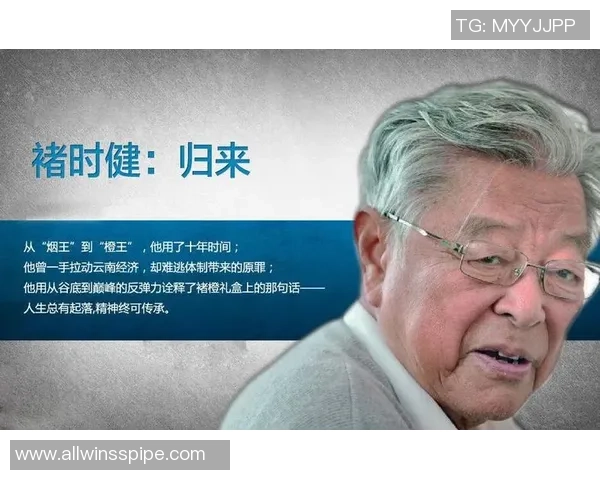 足球登顶之路：从草根到巅峰的奋斗与荣耀