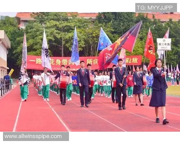 达里尔足球：探索这项运动背后的激情与团队精神